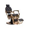 PROD-BUZZ GOLD-SEC-01 W-Buzz Gold