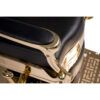 PROD-BUZZ GOLD-VAR-RZBH008.A12-SEC-09 W-Buzz Gold