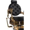 PROD-BUZZ GOLD-VAR-RZBH008.A12-SEC-12 W-Buzz Gold