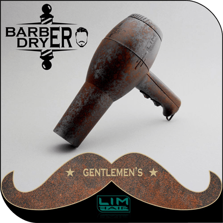 LH-Barber Dryer