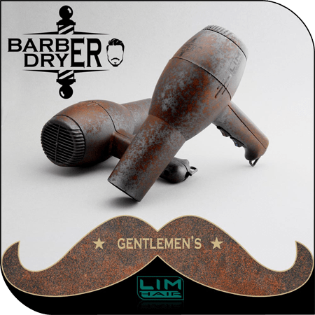 LH-Barber Dryer