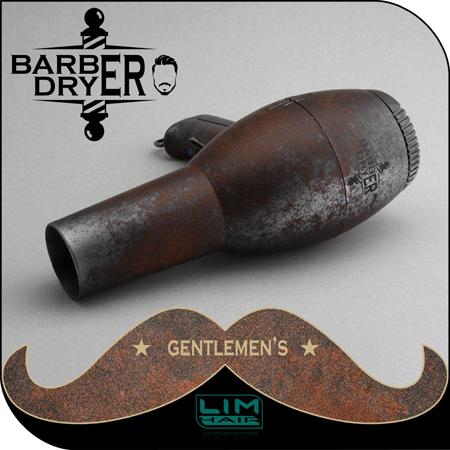 LH-Barber Dryer