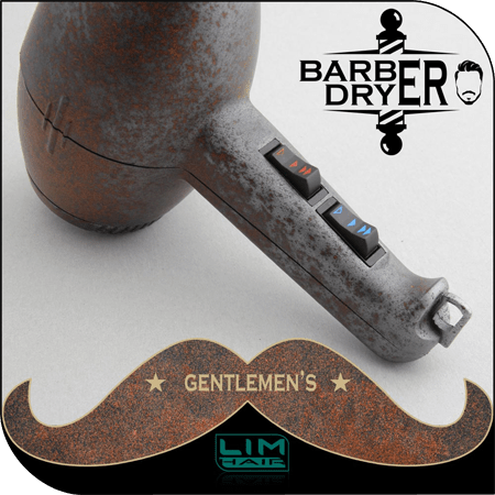 LH-Barber Dryer
